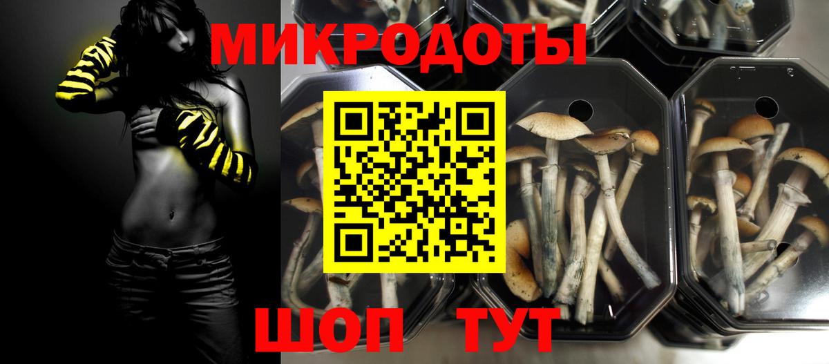Керчь  Псилоцибиновые грибы Magic Shrooms  наркошоп  Вход с VPN 